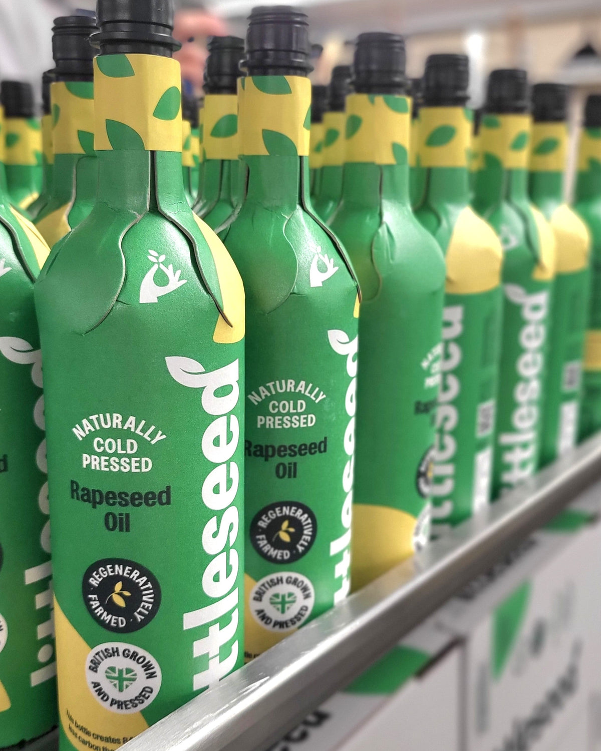 A LITTLE SEED'S BIG JOURNEY: OUR PAPER BOTTLE STORY